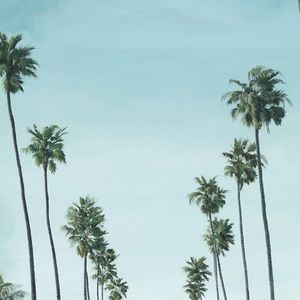 Meet your Posher, Sunnyca